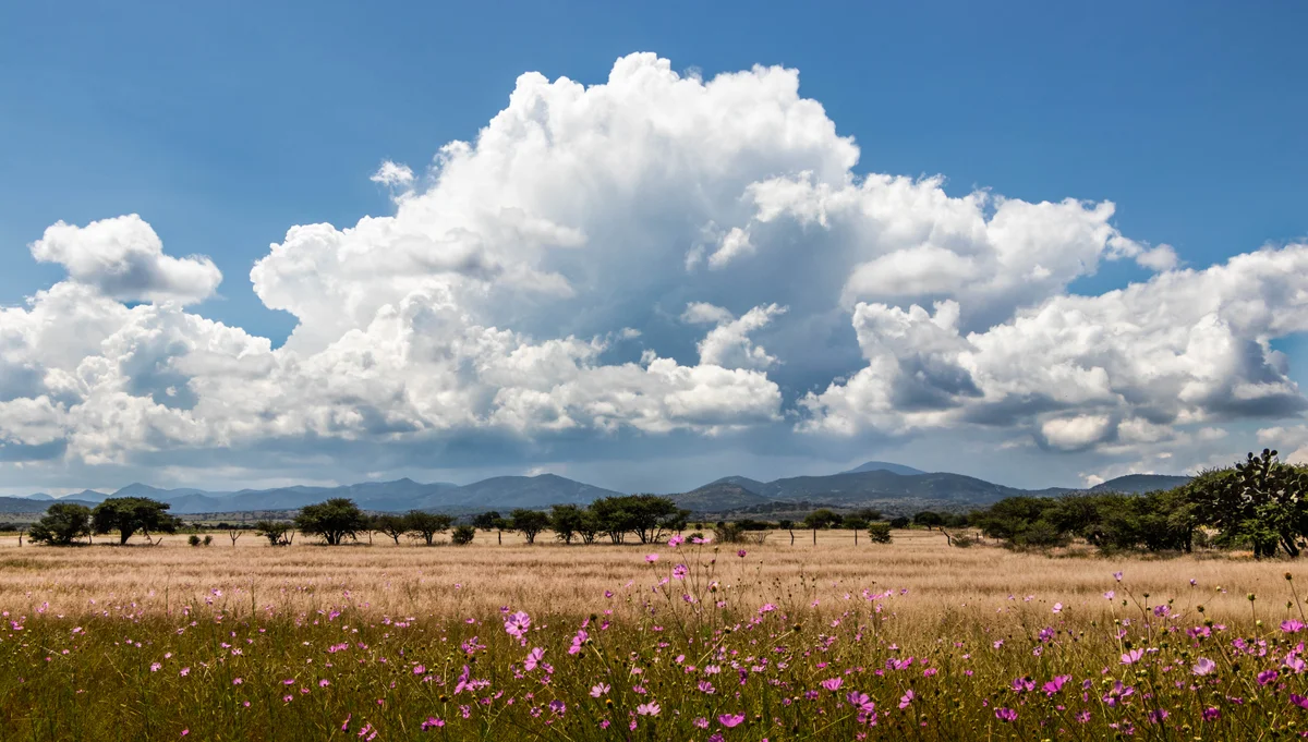Mexico — Mexico Property and Citizenship Guide
