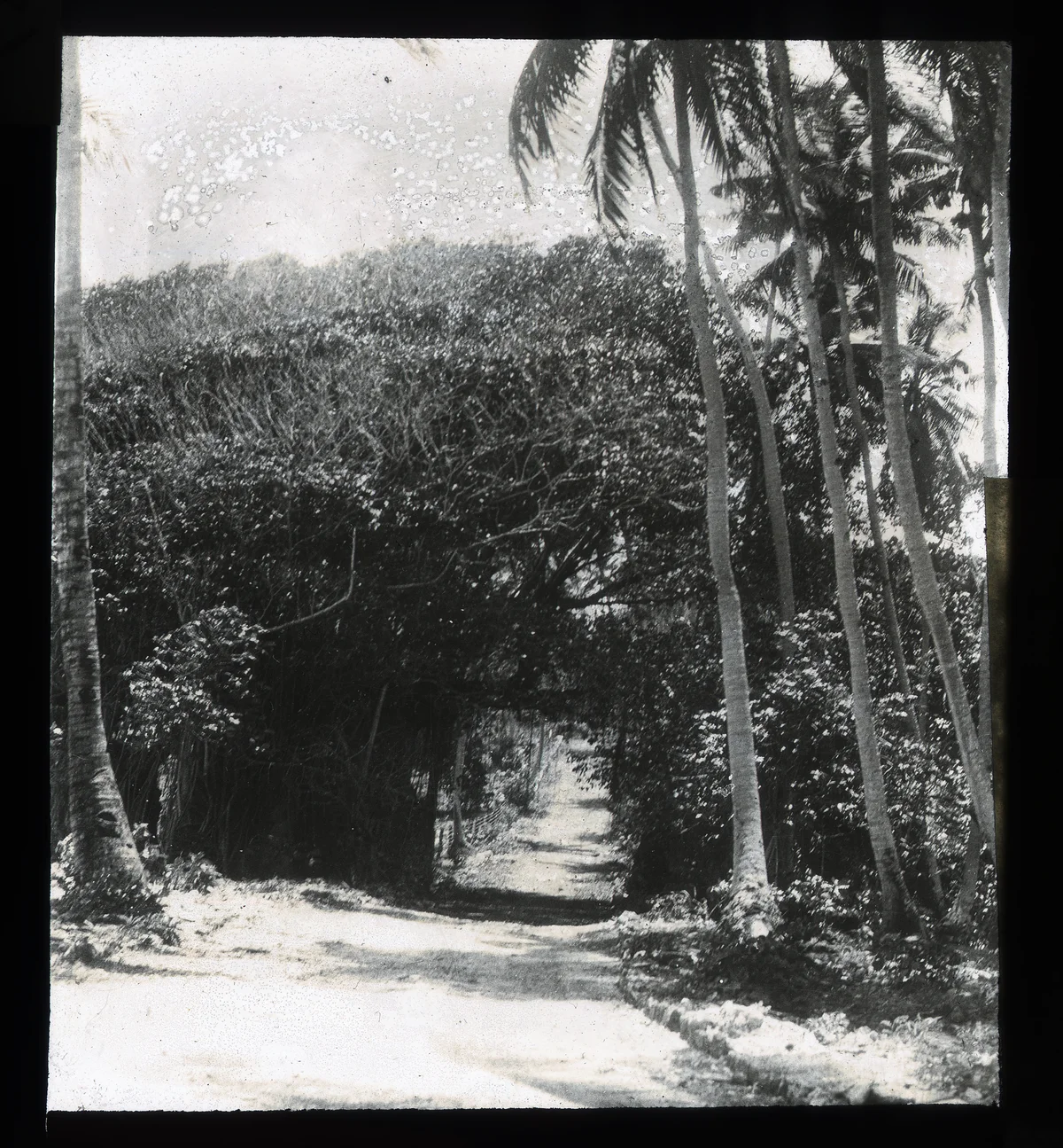 Nauru — Nauru Property and Citizenship Guide