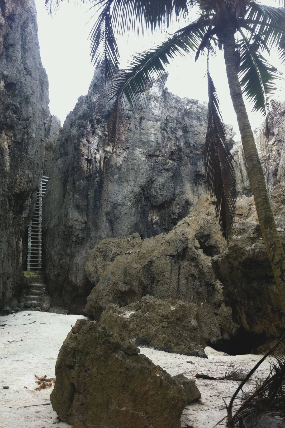 Niue — Niue Property and Citizenship Guide
